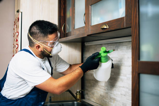 Best Mosquito Control Services  in Wright Patterson Af, OH