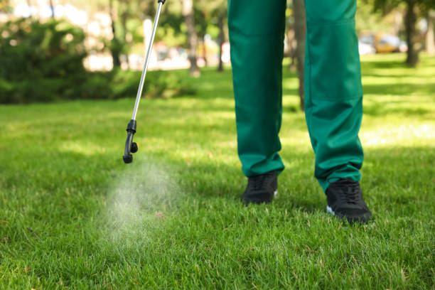 Professional Pest Control in Wright Patterson Af, OH