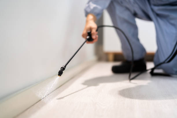 Flea Control Services in Wright Patterson Af, OH
