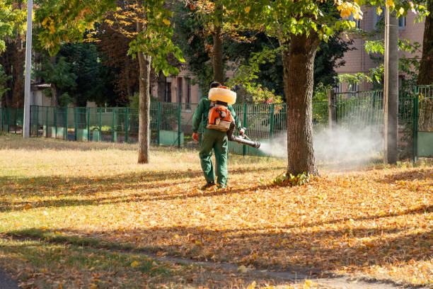 Bird Control in Wright Patterson Af, OH