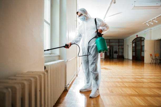 Best Affordable Pest Control Services  in Wright Patterson Af, OH