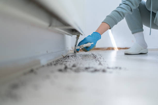 Best Flea Control Services  in Wright Patterson Af, OH