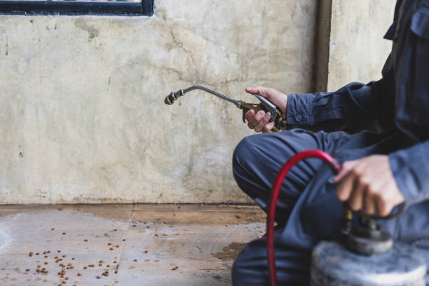 Best Best Pest Control Companies  in Wright Patterson Af, OH